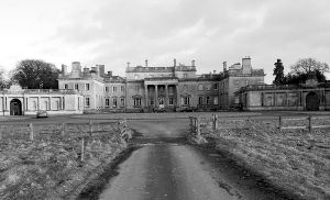 ������ķׯ԰����Ѳа��ƾ�