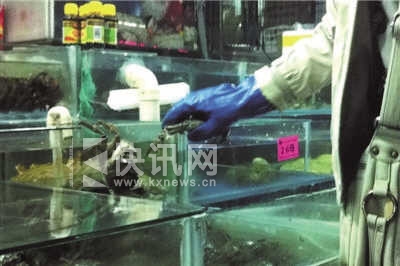 京东商城自采商家被曝售假阳澄湖大闸蟹