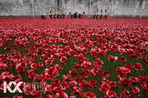 罂粟花海遍布伦敦欧洲纪念一战活动落幕(图)