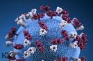 日本疫情消退是因病毒自我消亡？专家释疑：或是这四大原因所致